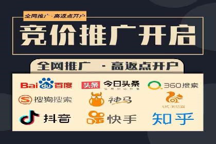 百度推广成功案例分析